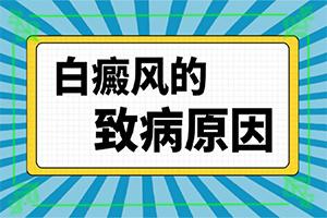 白癞风怎么可以治吗-白斑怎么治才能-做哪些方面