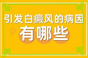 头上出现白色的斑块怎么回事,白斑的因由是哪些(因为什么患上)